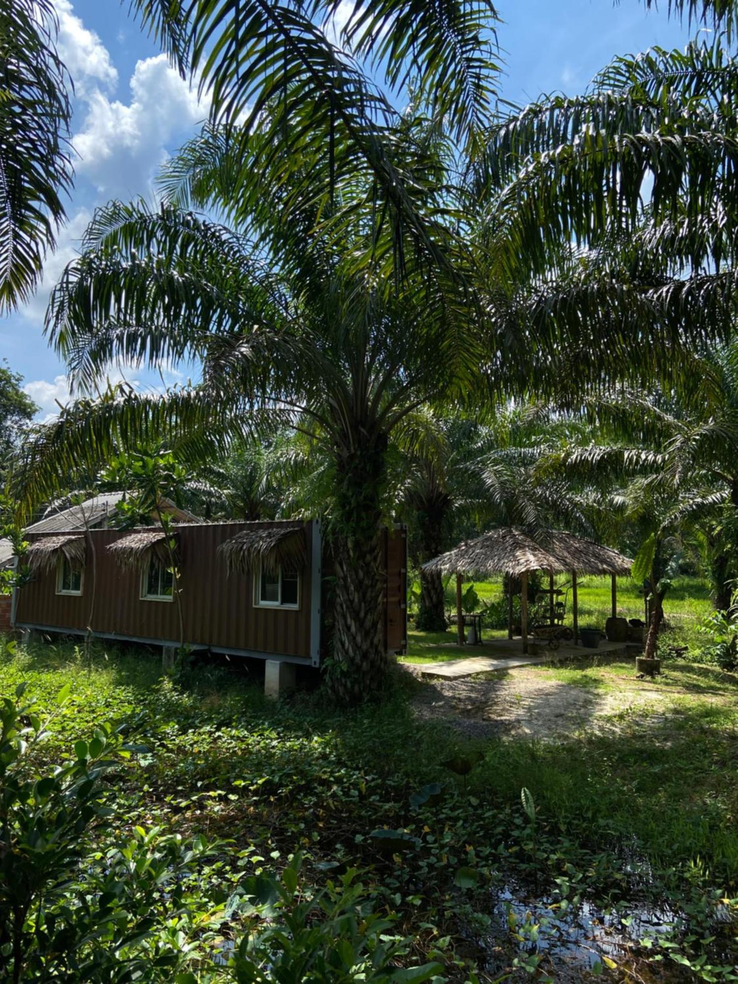 Forest Guesthouse Ban Don Muang  Esterno foto